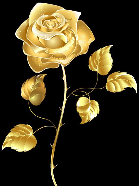 golden rose images